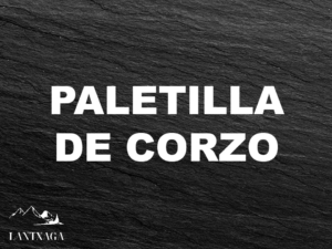 Paletilla s/h corzo (11€/kg)